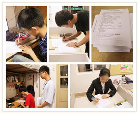 智慧后勤新体验 后勤集团开展APP使用调查回访，推动服务提质增效